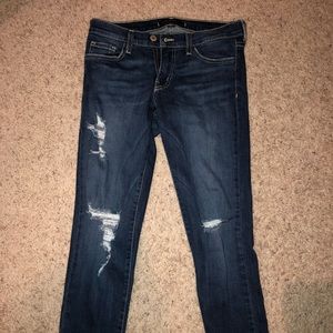 Flying Monkey Distressed Skinny Jeans
